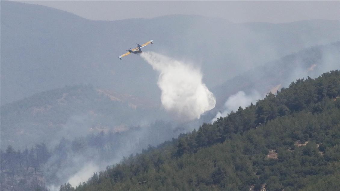 İzmir'de orman yangını