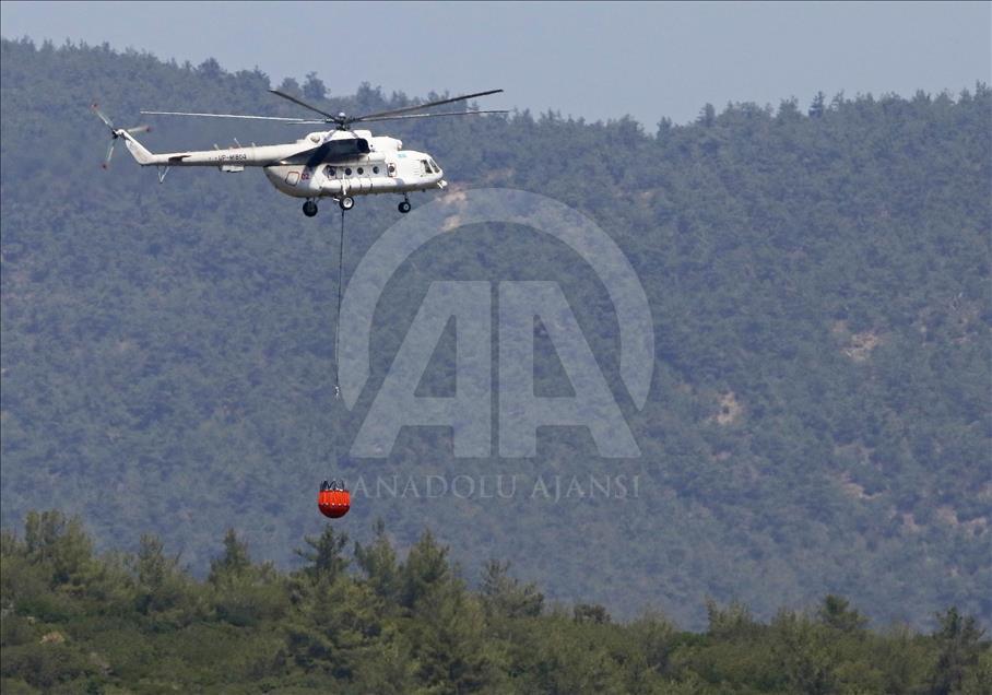 İzmir'de orman yangını