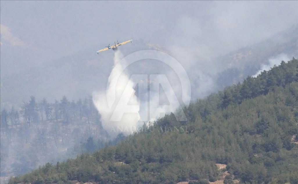 İzmir'de orman yangını
