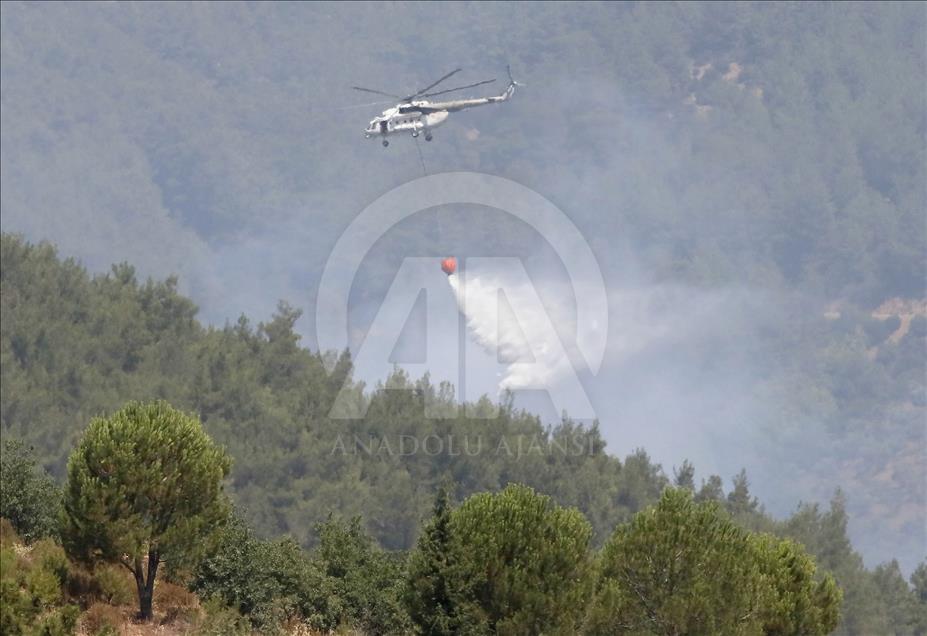 İzmir'de orman yangını