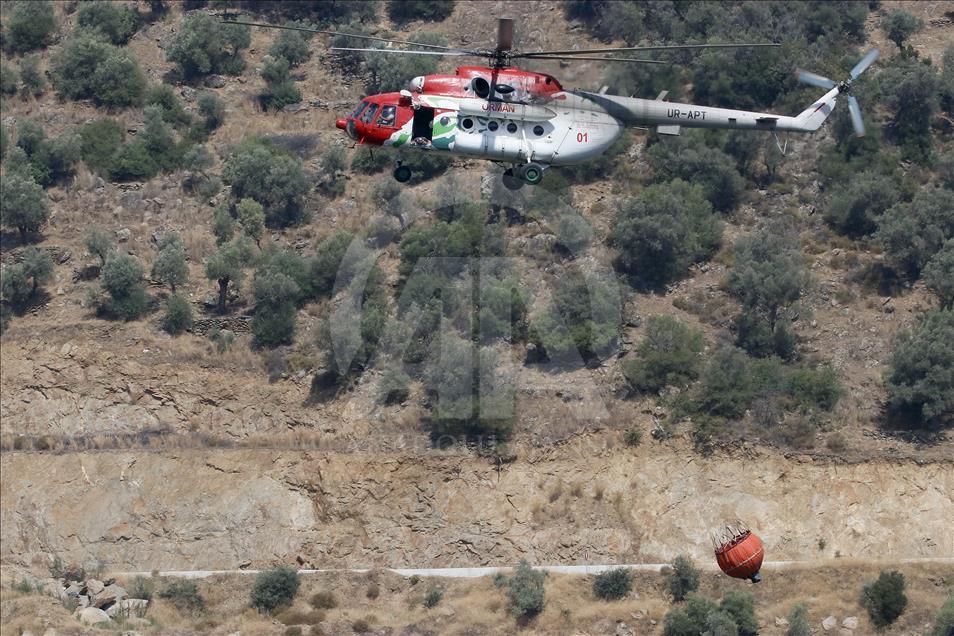 İzmir'de orman yangını