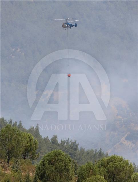 İzmir'de orman yangını