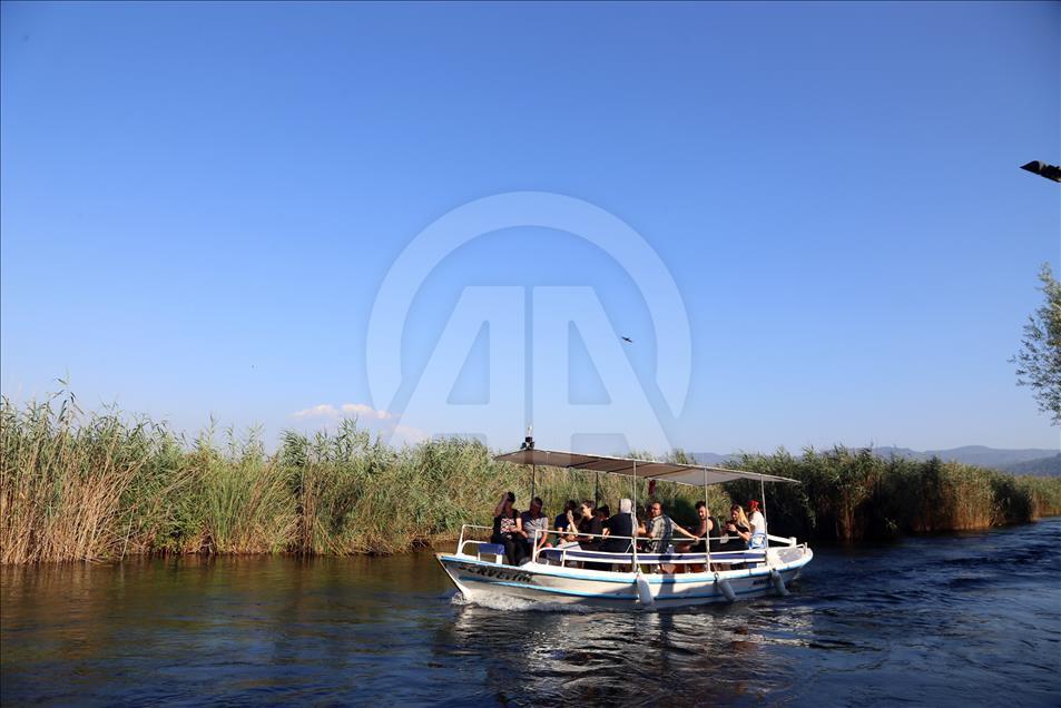 "Kadın Azmağı" deresine turist ilgisi