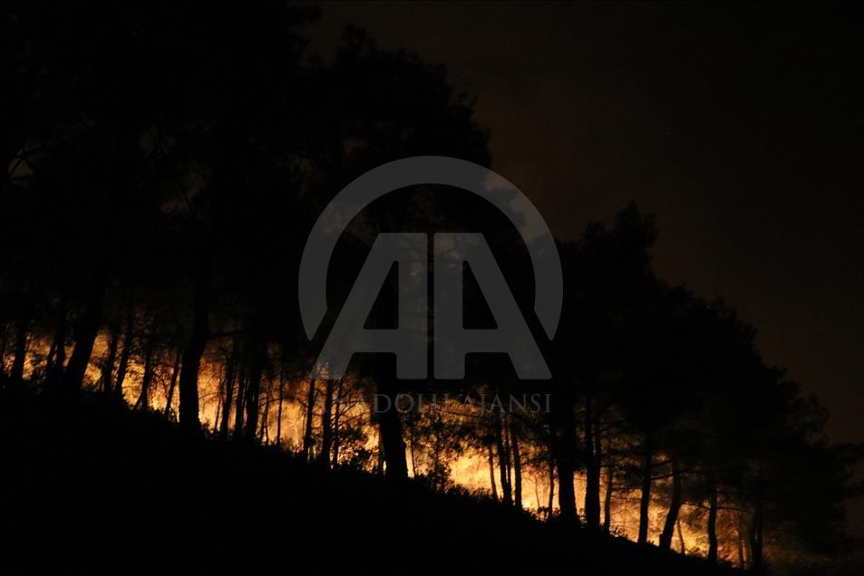 İzmir'deki orman yangın