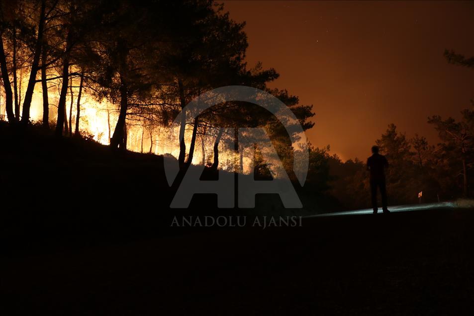 İzmir'deki orman yangın