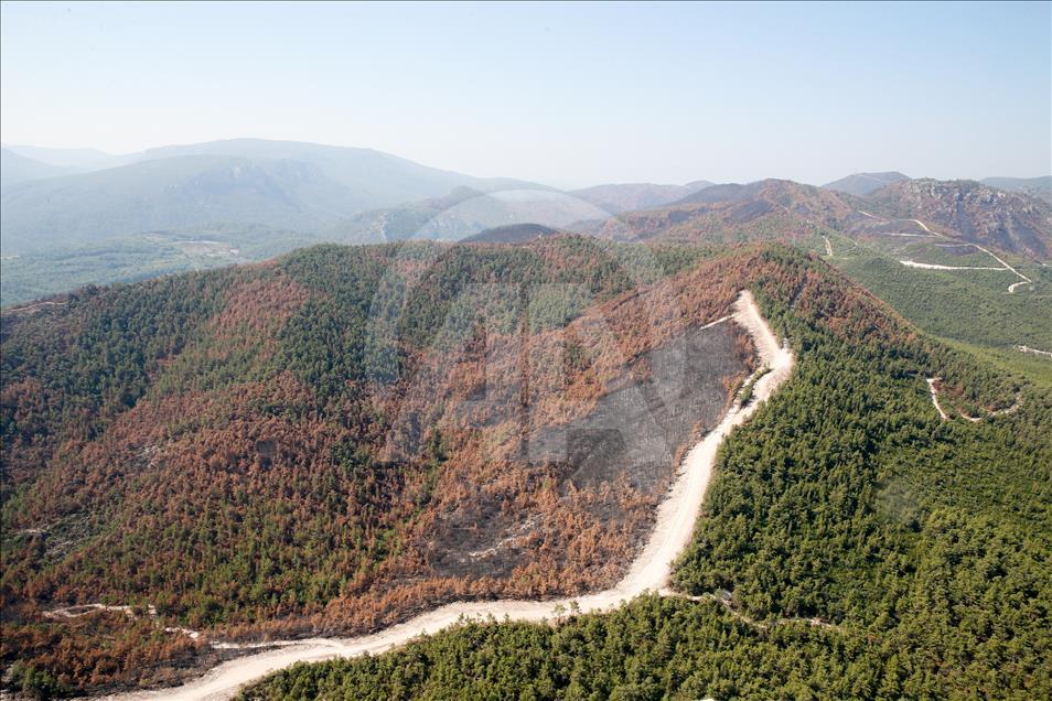 Orman ve Su İşleri Bakanı Veysel Eroğlu, İzmir'de