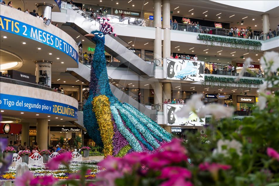 Colombians celebrate The Medellin Flower Festival