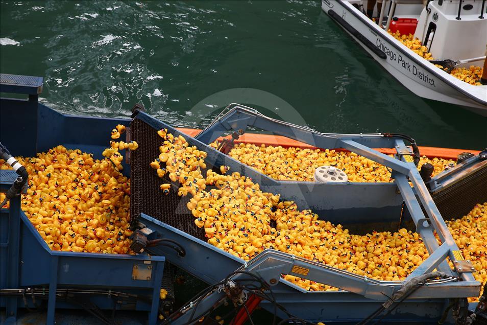 Windy City Rubber Ducky Derby in Chicago