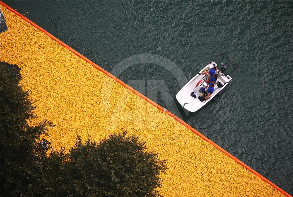 Chicago'da 60 bin plastik ördek “özel” sporcular için yarıştı