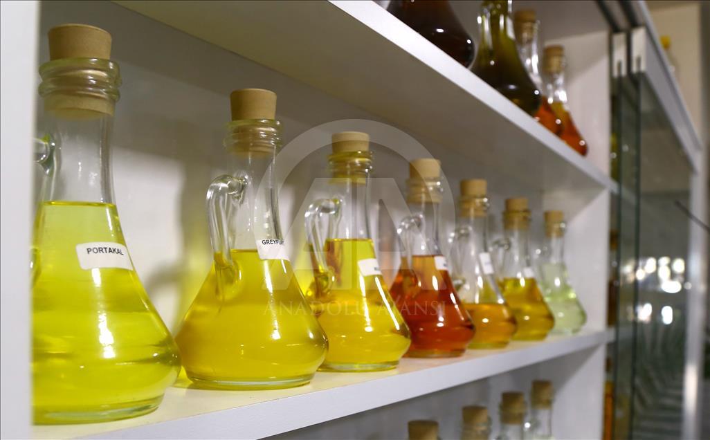 Akşehir'den G-8 ülkelerine aromatik bitkisel yağ ihraç ediliyor