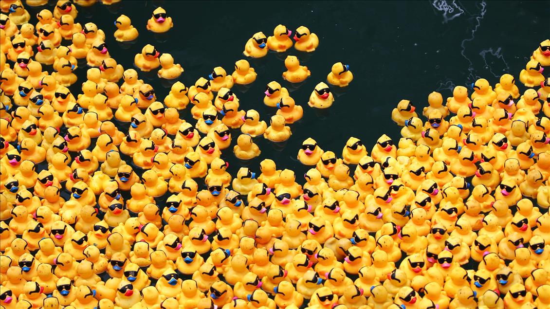 Windy City Rubber Ducky Derby in Chicago