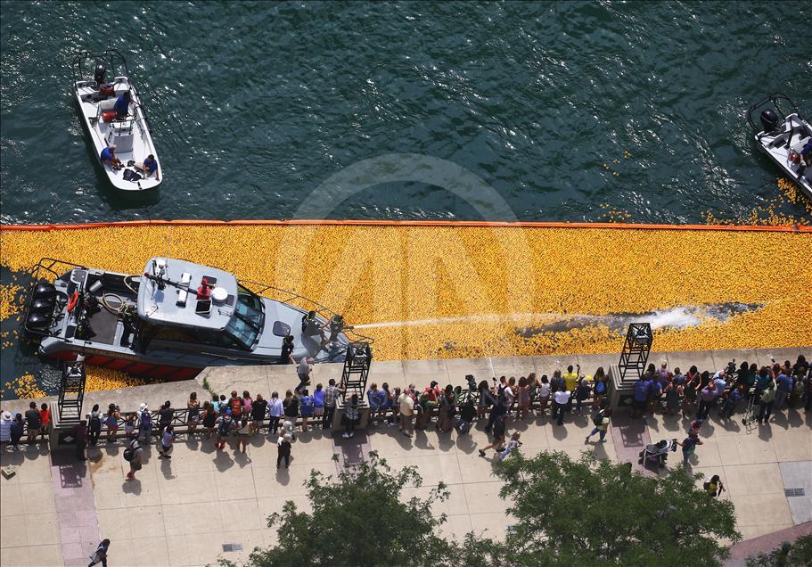 Windy City Rubber Ducky Derby in Chicago