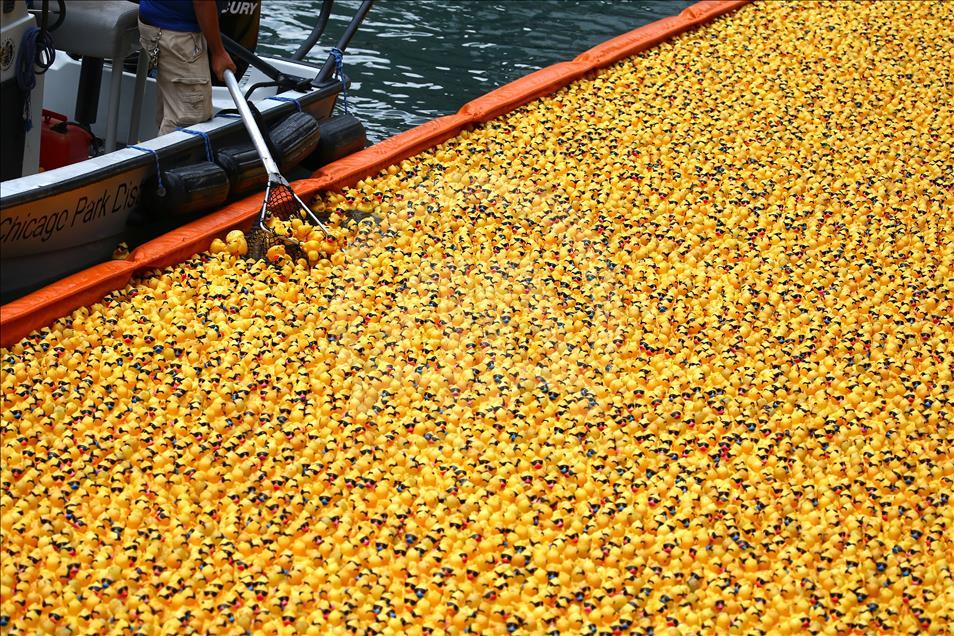 Windy City Rubber Ducky Derby in Chicago