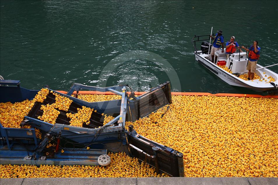 Windy City Rubber Ducky Derby in Chicago