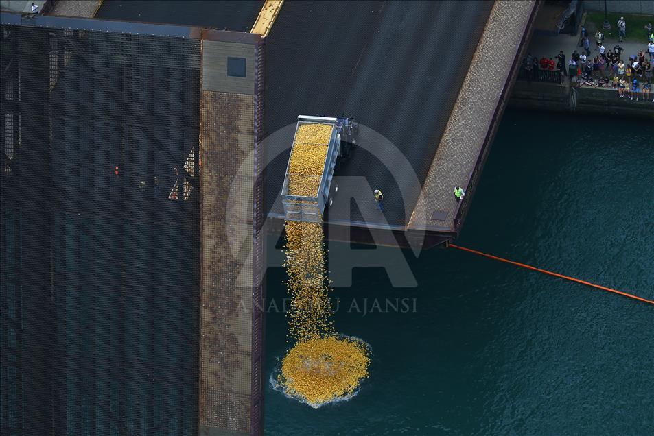 Chicago'da 60 bin plastik ördek “özel” sporcular için yarıştı