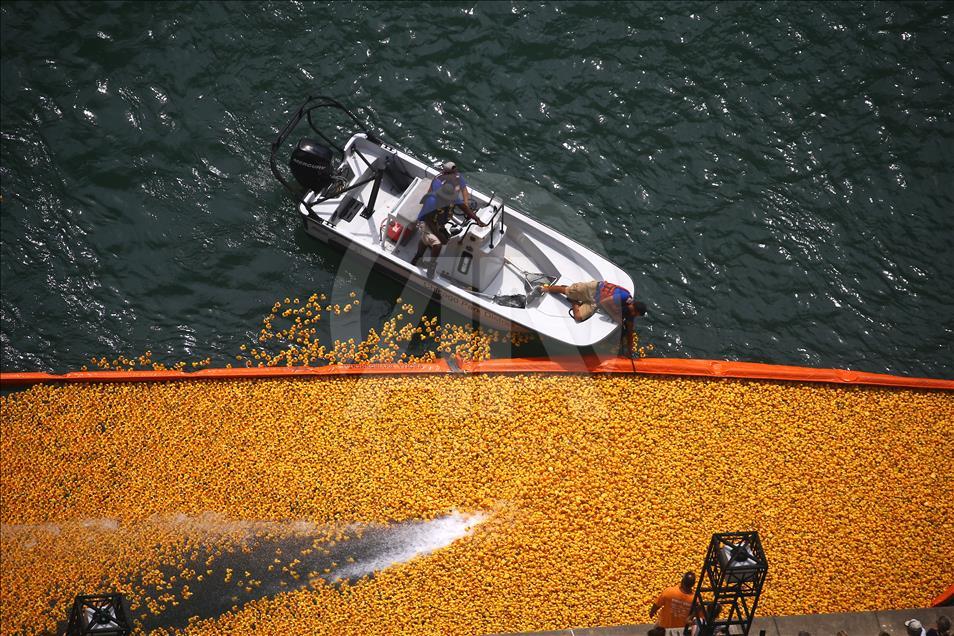 Windy City Rubber Ducky Derby in Chicago