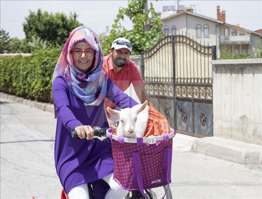 Cennet'in "ana kuzusu" Pamuk
