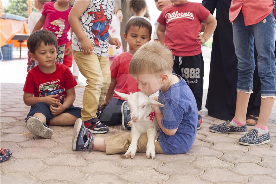 Cennet'in "ana kuzusu" Pamuk
