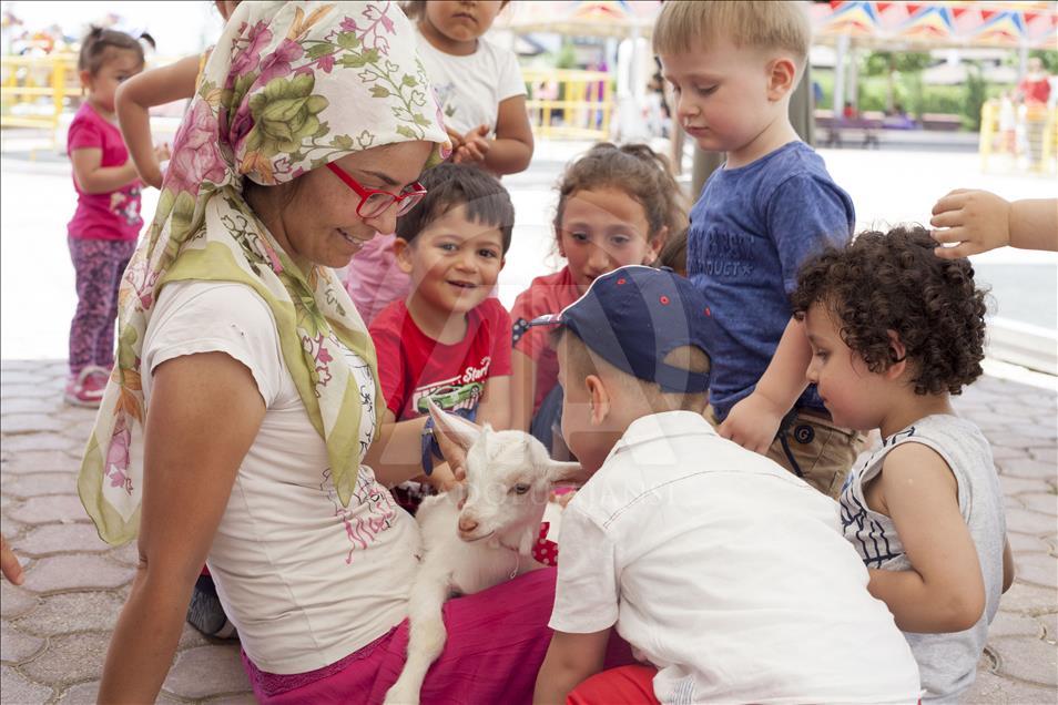 Cennet'in "ana kuzusu" Pamuk
