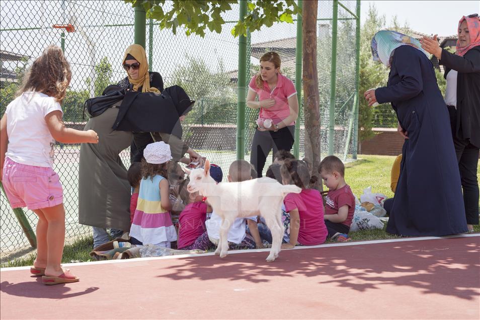 Cennet'in "ana kuzusu" Pamuk
