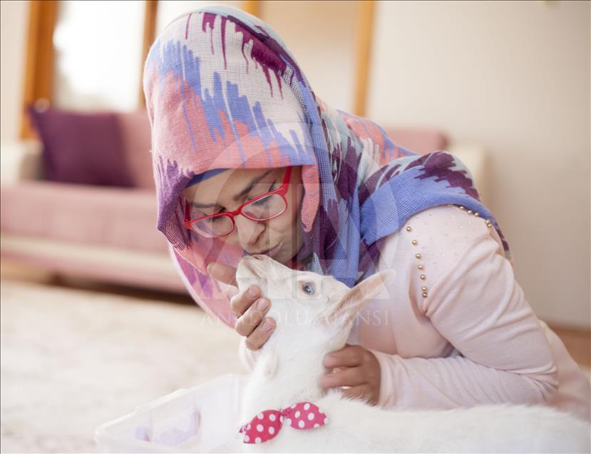 Cennet'in "ana kuzusu" Pamuk
