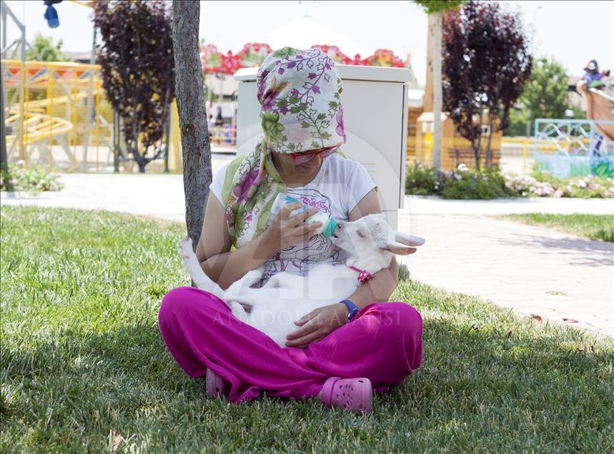 Cennet'in "ana kuzusu" Pamuk
