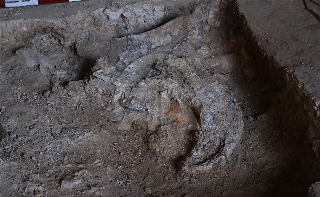 Турецкие археологи сделали важное открытие