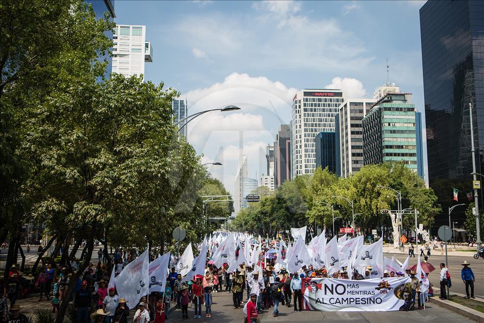 Farmers protest against the NAFTA in Mexico