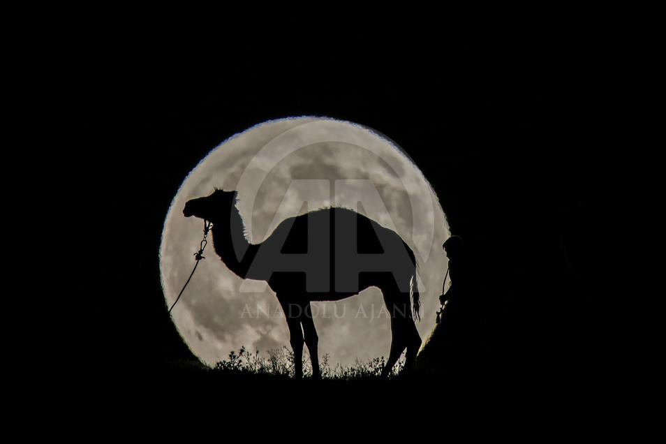 Partial Lunar Eclipse in Turkey's Van
