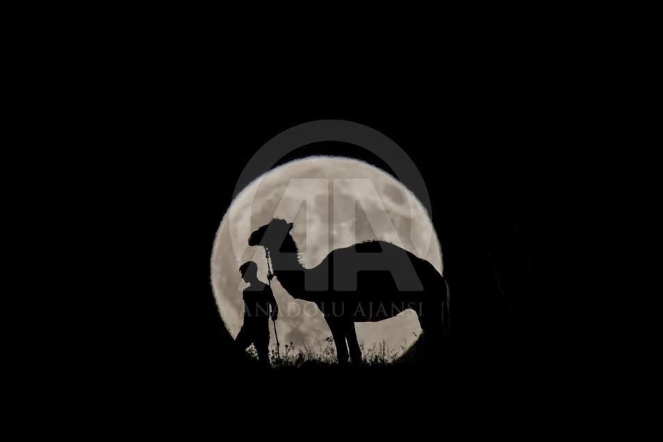 Partial Lunar Eclipse in Turkey's Van