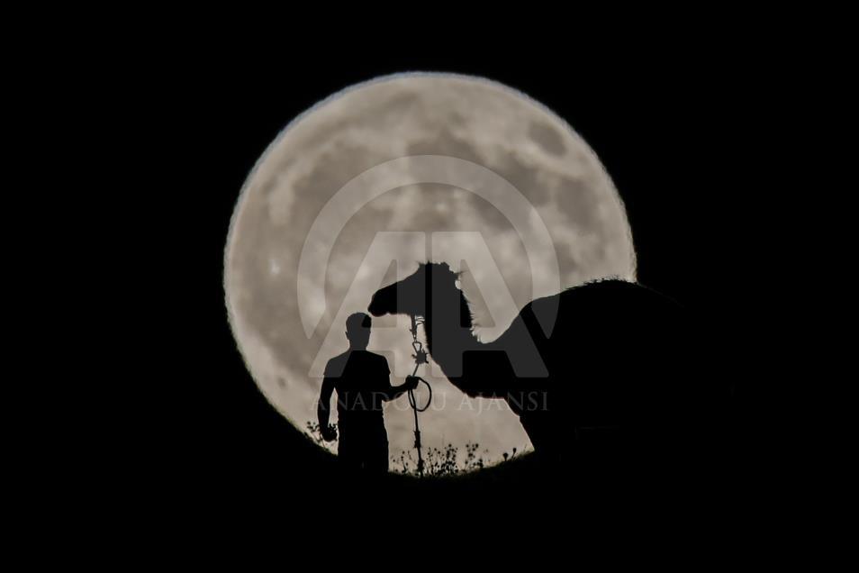 Partial Lunar Eclipse in Turkey's Van