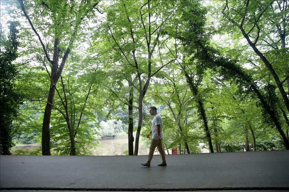 İstanbul'un 25 tabiat parkı doğaseverleri bekliyor