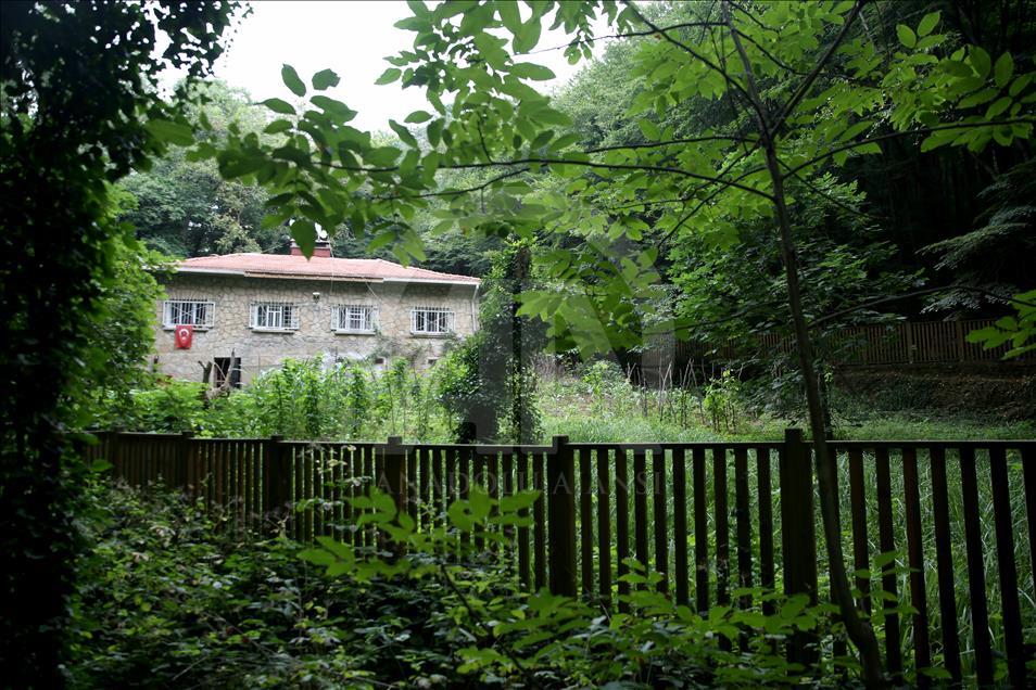 İstanbul'un 25 tabiat parkı doğaseverleri bekliyor