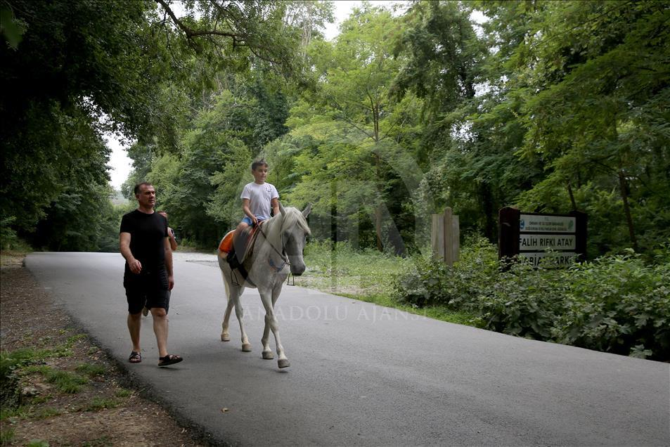 İstanbul'un 25 tabiat parkı doğaseverleri bekliyor