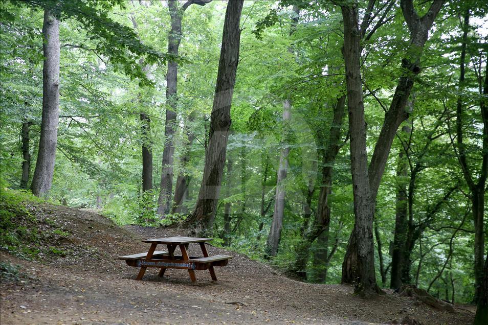İstanbul'un 25 tabiat parkı doğaseverleri bekliyor