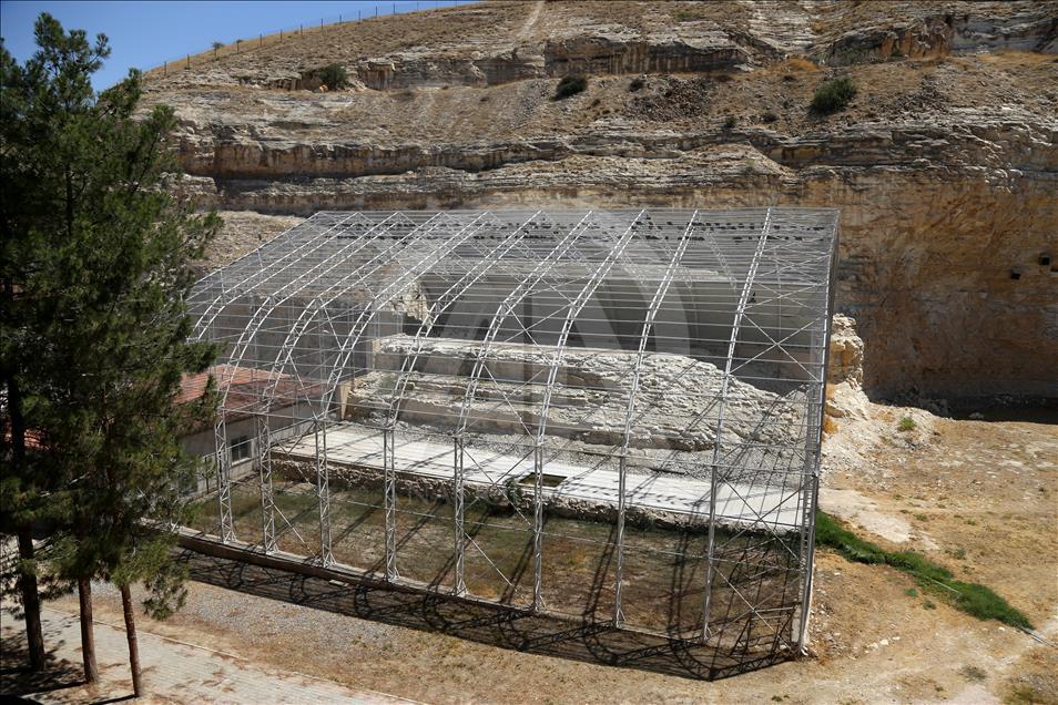Turquie - Hausse du nombre de « l'Ibis Chauve » dans un centre de protection à Sanliurfa