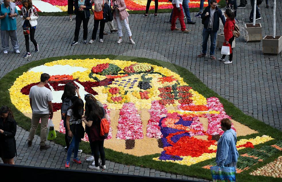 Brüksel'de çiçek zamanı festivali