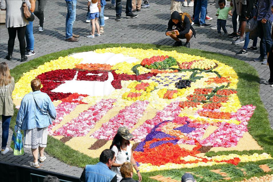 Brüksel'de çiçek zamanı festivali