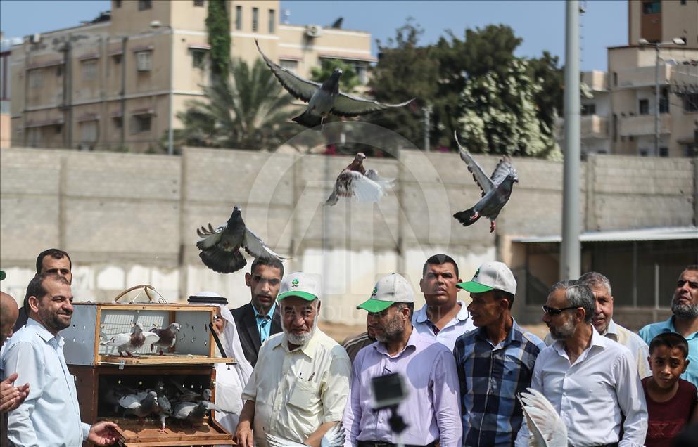 Gaza – Concours des pigeons voyageurs à Gaza
