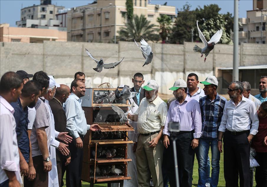Gaza – Concours des pigeons voyageurs à Gaza

