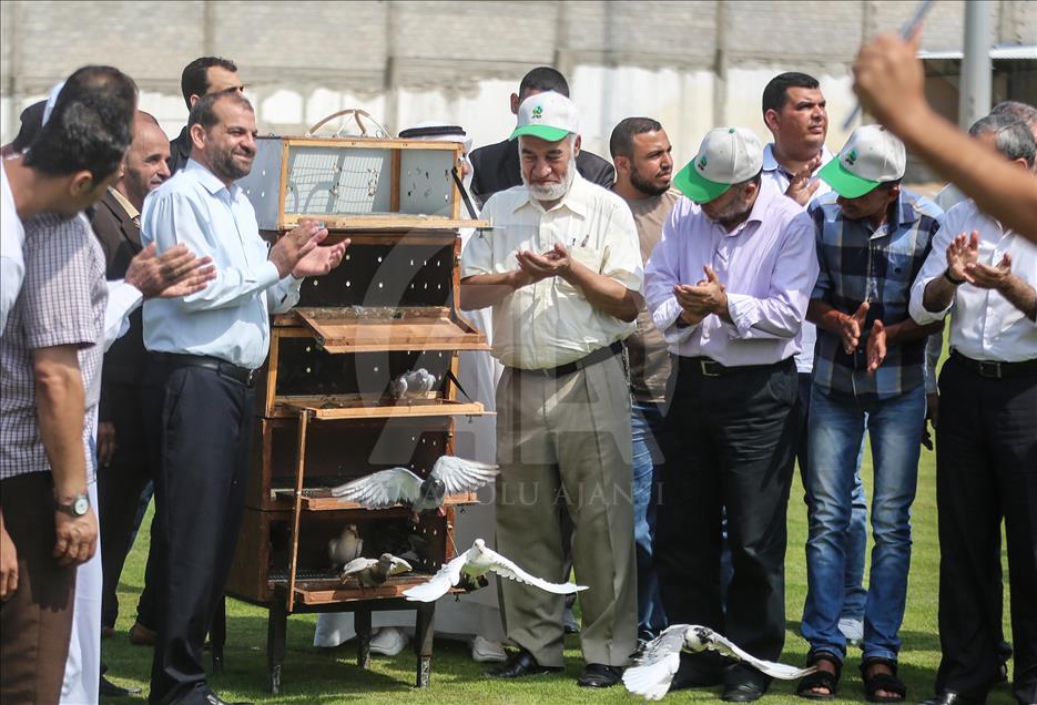Gaza – Concours des pigeons voyageurs à Gaza
