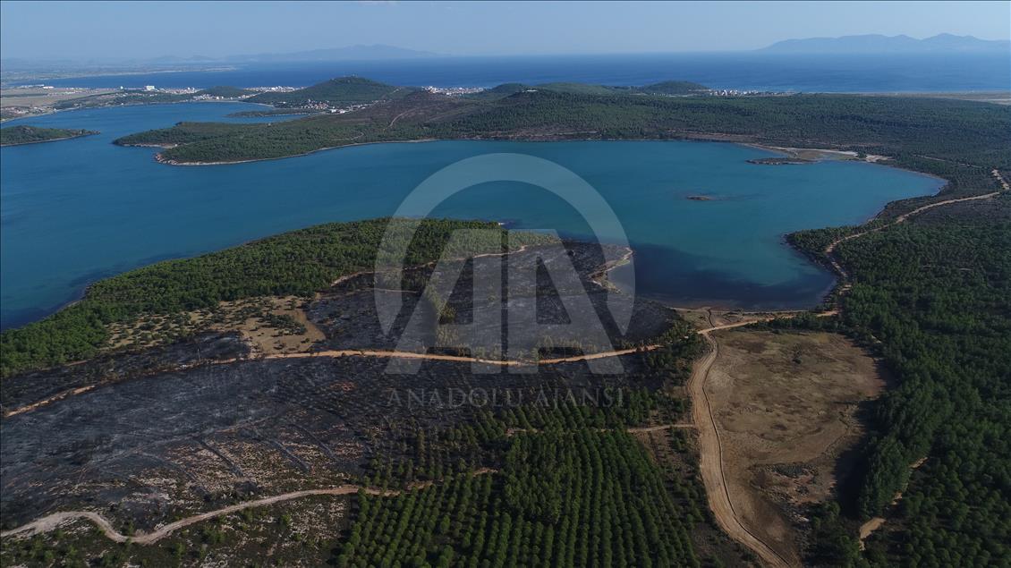 Ayvalık'taki orman yangınında zarar gören alan havadan görüntülendi