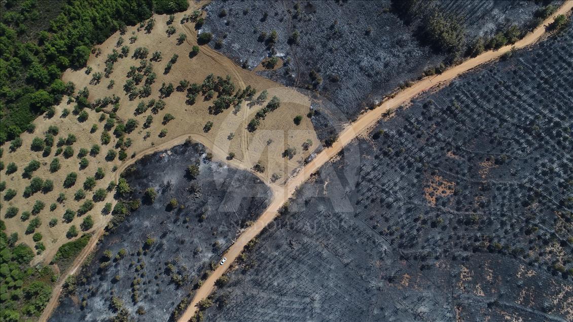 Drone photos show Turkey's Ayvalik fire damage