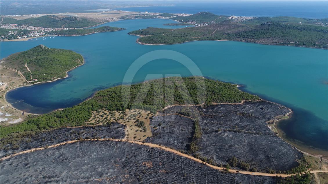 Ayvalık'taki orman yangınında zarar gören alan havadan görüntülendi