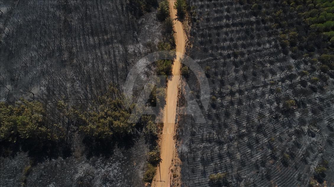 Drone photos show Turkey's Ayvalik fire damage