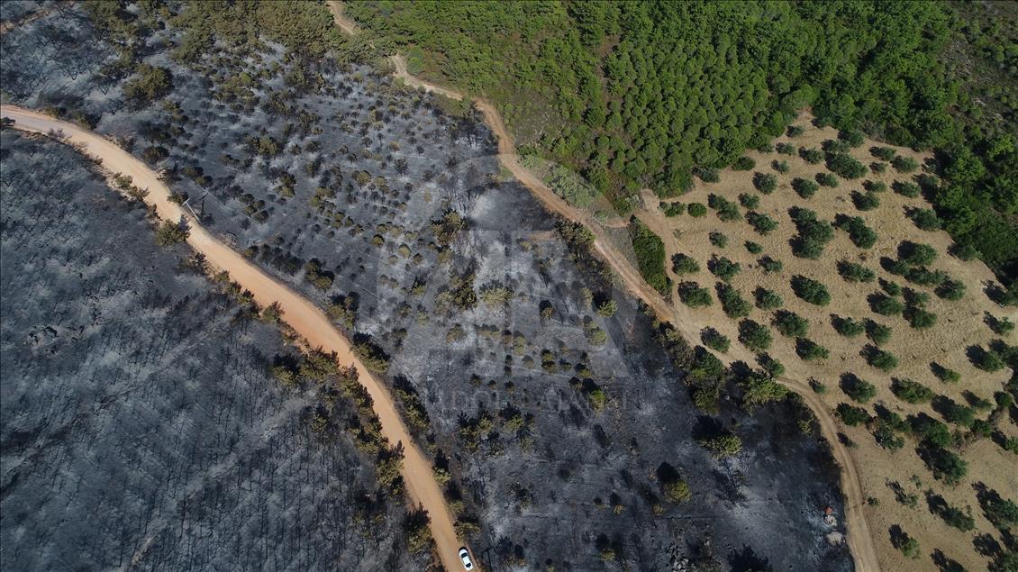 Drone photos show Turkey's Ayvalik fire damage