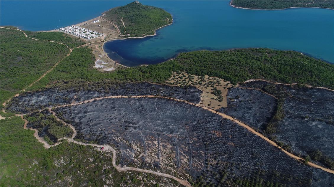 Drone photos show Turkey's Ayvalik fire damage