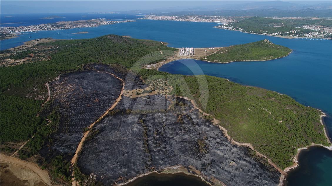 Ayvalık'taki orman yangınında zarar gören alan havadan görüntülendi