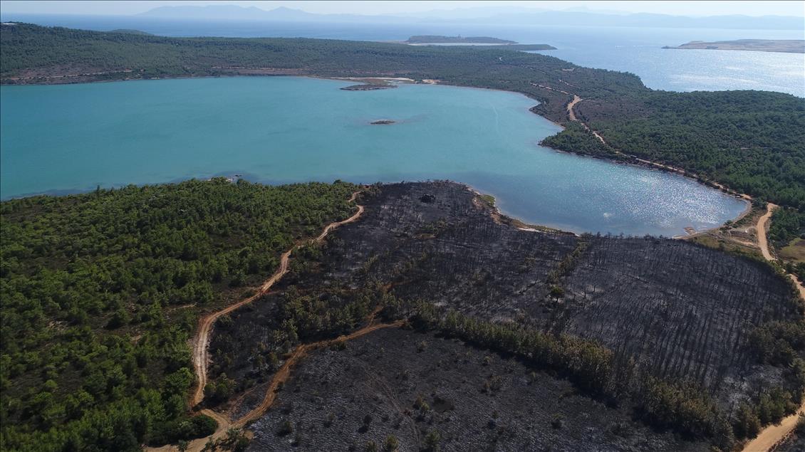 Ayvalık'taki orman yangınında zarar gören alan havadan görüntülendi