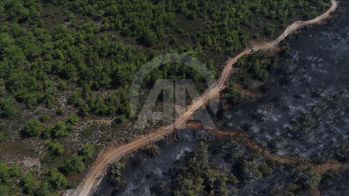 Drone photos show Turkey's Ayvalik fire damage